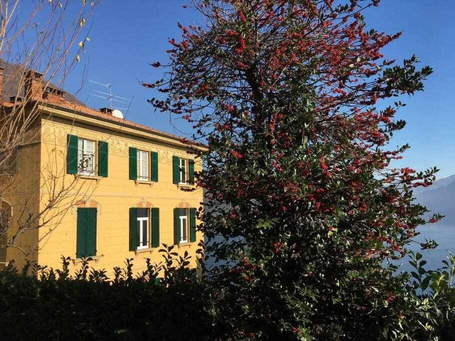 Villa Peroni Lake Como Classic With Swimming Pool Ардженьо Экстерьер фото